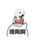 A-fu（個別スタンプ：20）