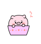 かわいいぶたのぷーこちゃんスタンプ（個別スタンプ：17）