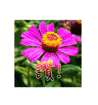 Elders say Hi！（個別スタンプ：2）
