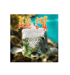 Elders say Hi！（個別スタンプ：4）