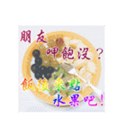 Elders say Hi！（個別スタンプ：13）