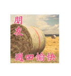 Elders say Hi！（個別スタンプ：18）