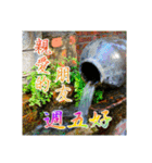Elders say Hi！（個別スタンプ：19）
