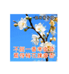 Elders say Hi！（個別スタンプ：26）