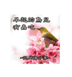Elders say Hi！（個別スタンプ：28）