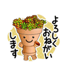 多肉植物の寄せ植え！はちぼー（個別スタンプ：11）