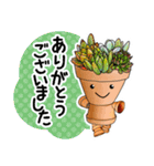 多肉植物の寄せ植え！はちぼー（個別スタンプ：16）