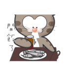 Mr Grey Little Cat 1 with TC（個別スタンプ：3）