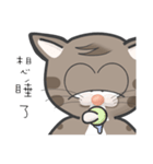 Mr Grey Little Cat 1 with TC（個別スタンプ：8）