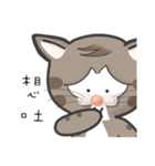 Mr Grey Little Cat 1 with TC（個別スタンプ：17）