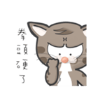 Mr Grey Little Cat 1 with TC（個別スタンプ：19）