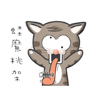 Mr Grey Little Cat 1 with TC（個別スタンプ：31）