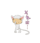 猫に仮面（個別スタンプ：10）