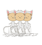 猫に仮面（個別スタンプ：11）