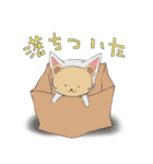 猫に仮面（個別スタンプ：12）