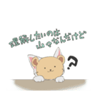 猫に仮面（個別スタンプ：17）