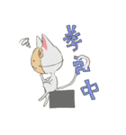 猫に仮面（個別スタンプ：18）