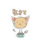 猫に仮面（個別スタンプ：24）