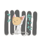 猫に仮面（個別スタンプ：25）