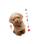 モコモコなまいにち（個別スタンプ：25）