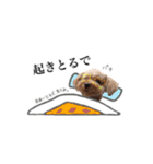 モコモコなまいにち（個別スタンプ：29）