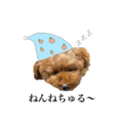 モコモコなまいにち（個別スタンプ：30）