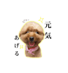 モコモコなまいにち（個別スタンプ：31）