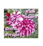 For u my lovely（個別スタンプ：3）