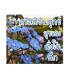For u my lovely（個別スタンプ：6）