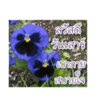 For u my lovely（個別スタンプ：7）