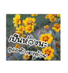 For u my lovely（個別スタンプ：14）