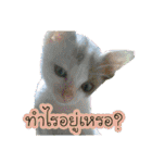 For u my lovely（個別スタンプ：33）