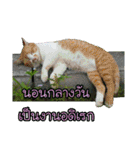 For u my lovely（個別スタンプ：40）