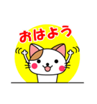 かわいいネコ【日常編】よく使うハズ！（個別スタンプ：1）