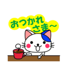 かわいいネコ【日常編】よく使うハズ！（個別スタンプ：20）