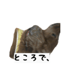 犬ちゃんズ2（個別スタンプ：3）
