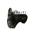 犬ちゃんズ2（個別スタンプ：23）