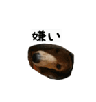犬ちゃんズ2（個別スタンプ：26）