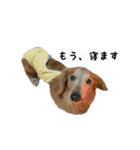 犬ちゃんズ2（個別スタンプ：30）