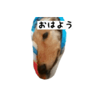 犬ちゃんズ2（個別スタンプ：40）
