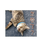 Photo game（個別スタンプ：4）