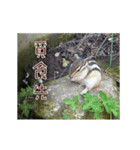 Photo game（個別スタンプ：6）