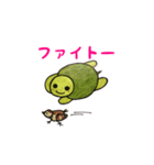 うみがめエディの日常会話 2（個別スタンプ：19）