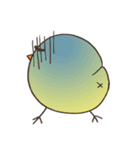 Chicky the Chick（個別スタンプ：3）