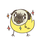 Chicky the Chick（個別スタンプ：25）