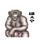 黒猿スタンプ・チンパンジー（個別スタンプ：16）