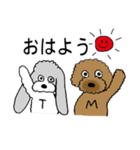 トイプーのミー＆ティー（個別スタンプ：1）