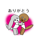 トイプーのミー＆ティー（個別スタンプ：5）