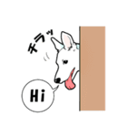 ホワイトシェパード、母＆パピ’sの日常（個別スタンプ：1）
