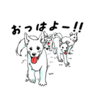 ホワイトシェパード、母＆パピ’sの日常（個別スタンプ：7）